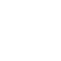 PAVO GROUP